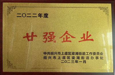 Certificate of Top 20 Enterprises